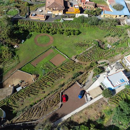 Ek Drago Finca El Milagro La Orotava Buitenkant foto