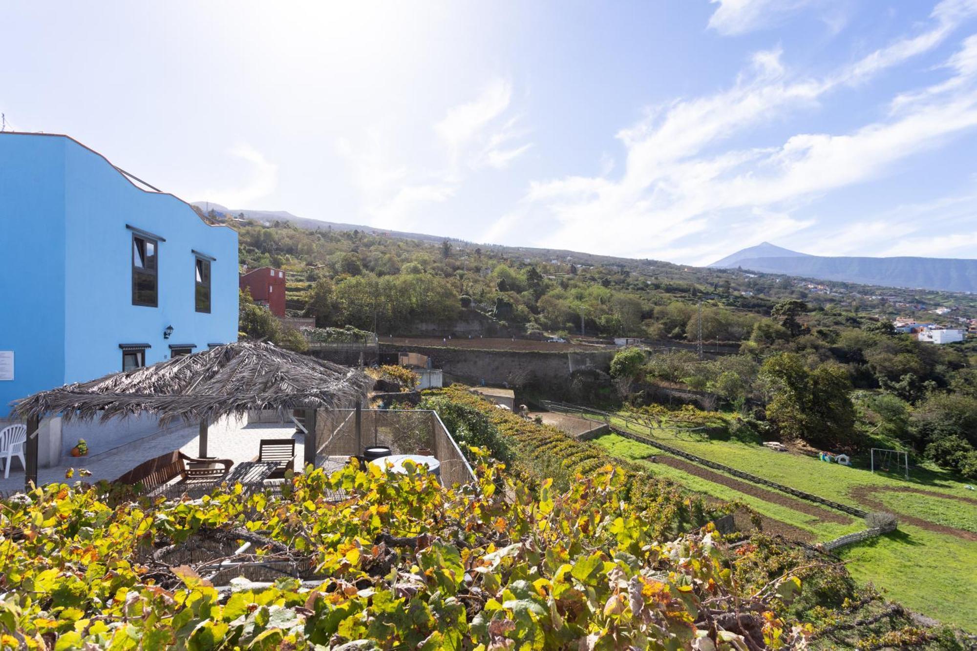 Ek Drago Finca El Milagro La Orotava Buitenkant foto