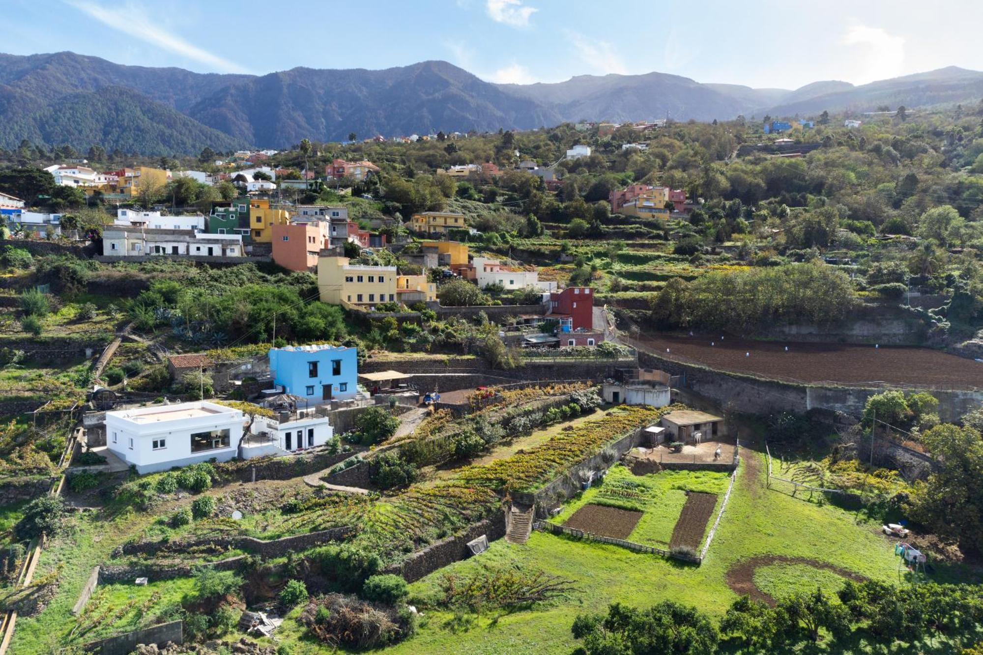 Ek Drago Finca El Milagro La Orotava Buitenkant foto