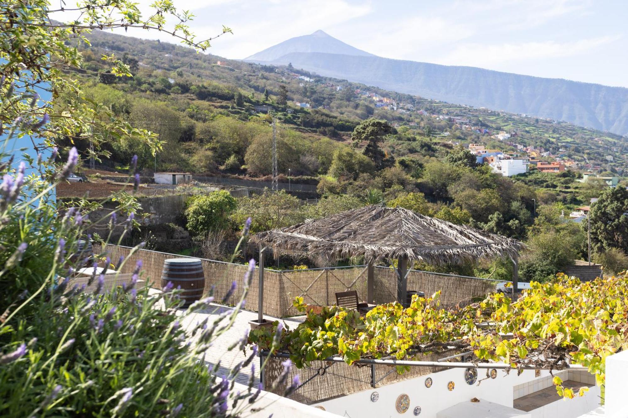 Ek Drago Finca El Milagro La Orotava Buitenkant foto