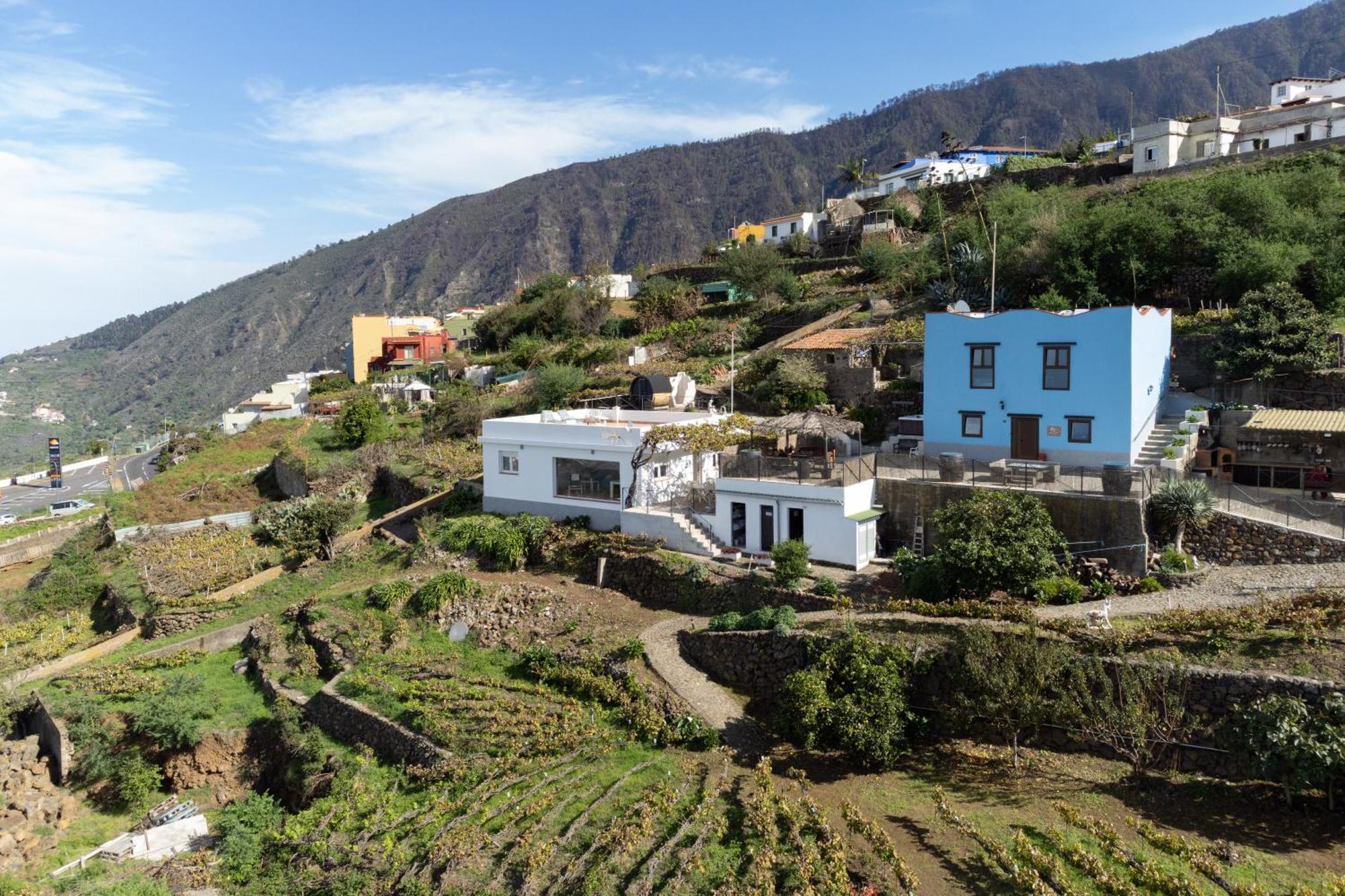 Ek Drago Finca El Milagro La Orotava Buitenkant foto