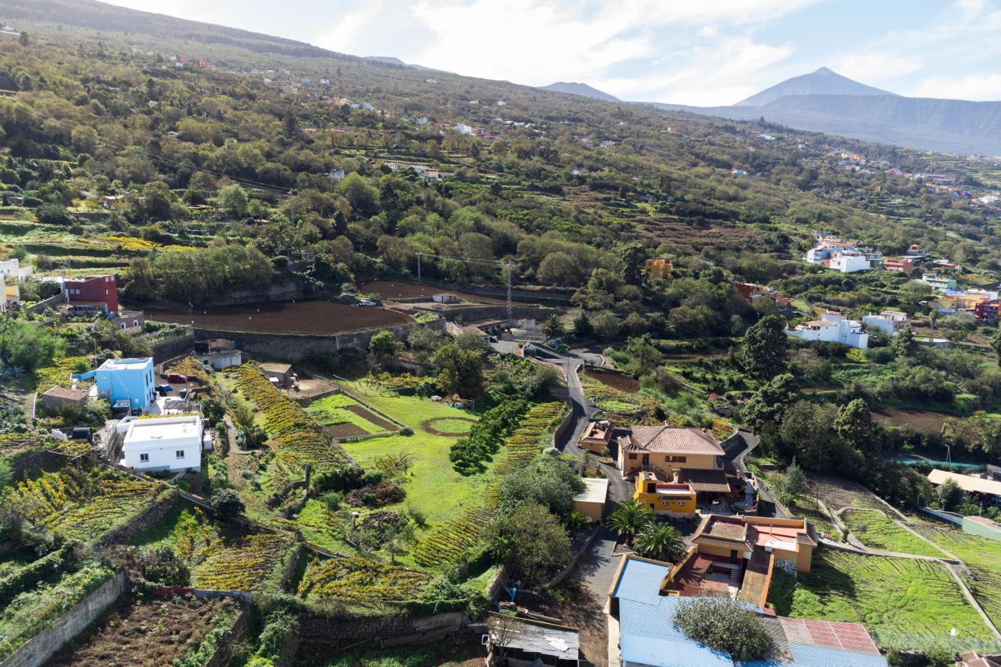 Ek Drago Finca El Milagro La Orotava Buitenkant foto