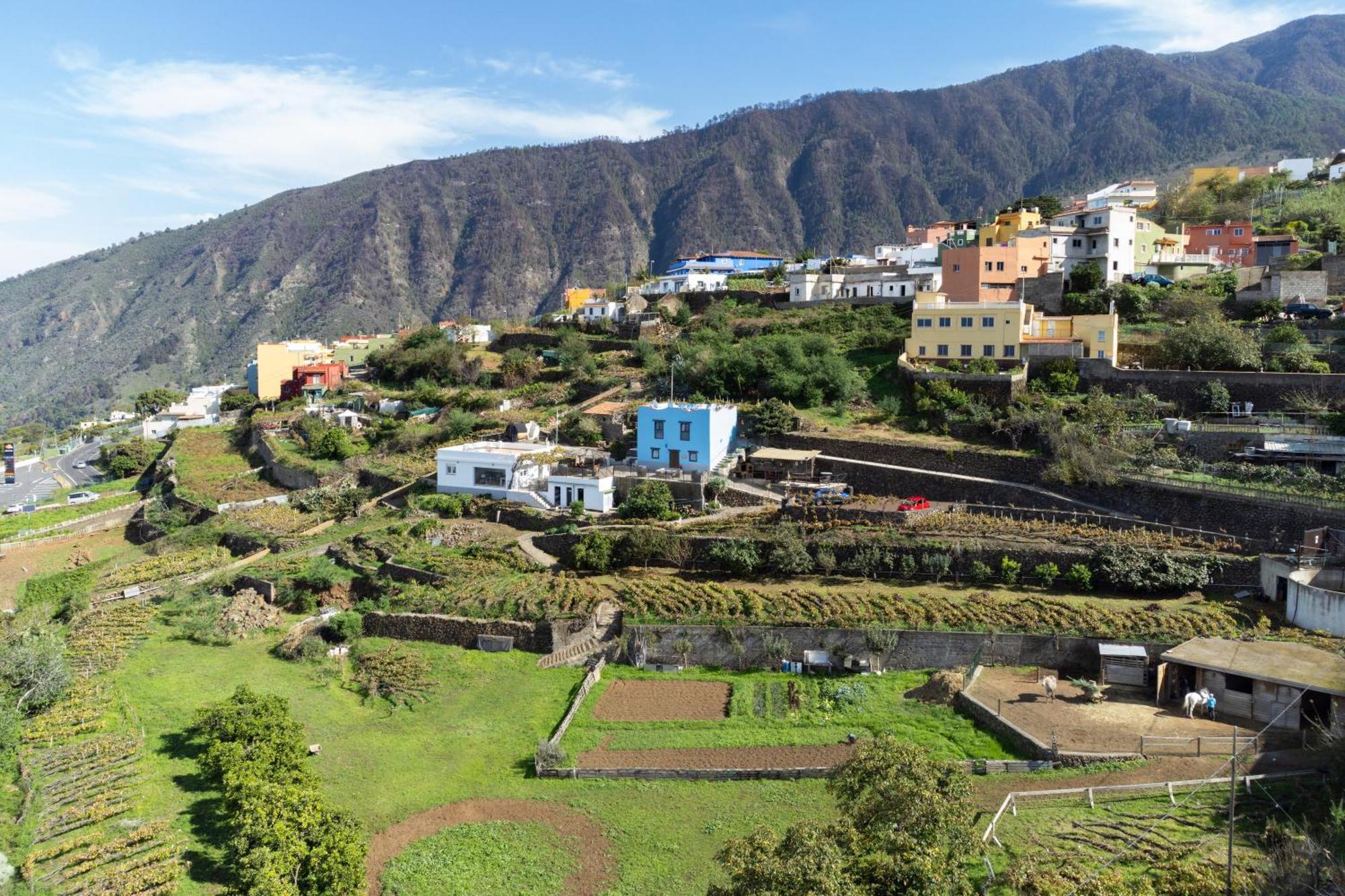 Ek Drago Finca El Milagro La Orotava Buitenkant foto